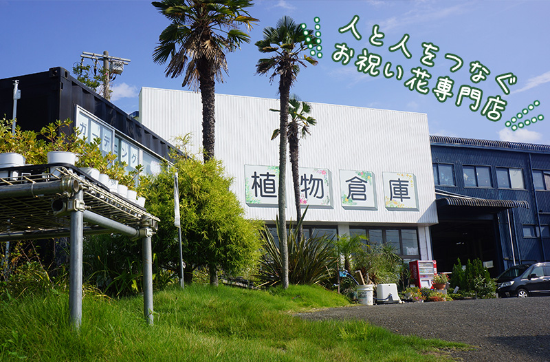 植物倉庫_top